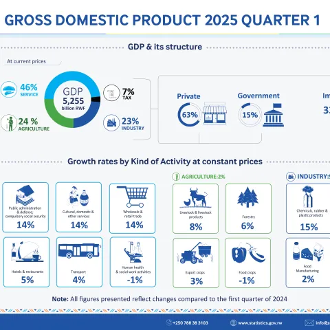 Gross Domestic Product (GDP) First Quarter of 2025