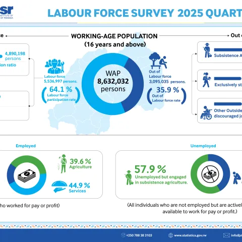 Labour Force Survey - 2025 (Q4)